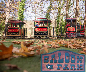 saloon-park